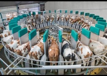 Smart Farming With Intelligent Technology