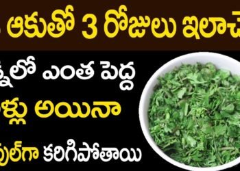 కిడ్నీలో రాళ్ళూ అతివేగంగా కరిగించే అద్బుతమైన చిట్కా