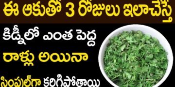 కిడ్నీలో రాళ్ళూ అతివేగంగా కరిగించే అద్బుతమైన చిట్కా