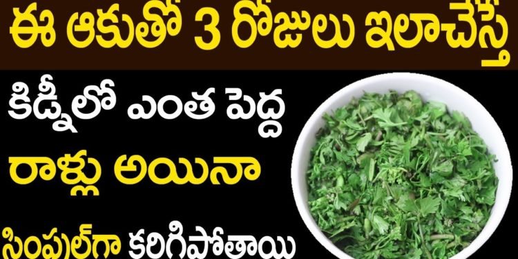 కిడ్నీలో రాళ్ళూ అతివేగంగా కరిగించే అద్బుతమైన చిట్కా