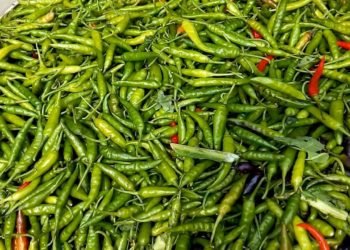green chillies