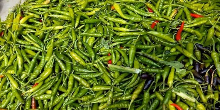 green chillies