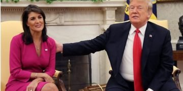 nikki haley