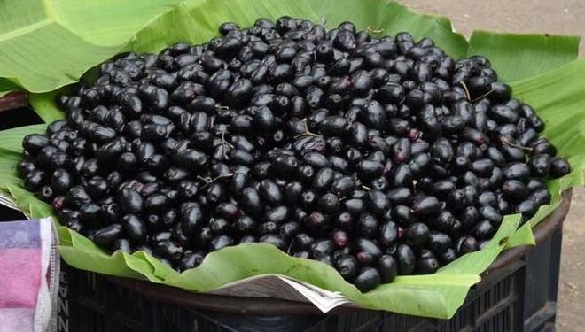 Jamun Berries
