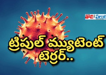 ట్రిపుల్ మ్యుటెంట్ టెర్రర్…