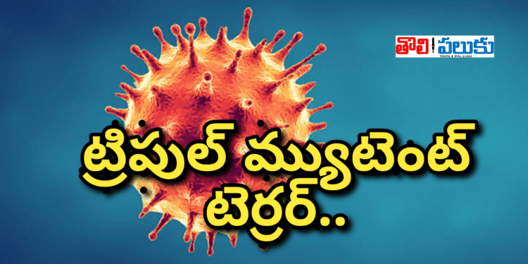 ట్రిపుల్ మ్యుటెంట్ టెర్రర్…