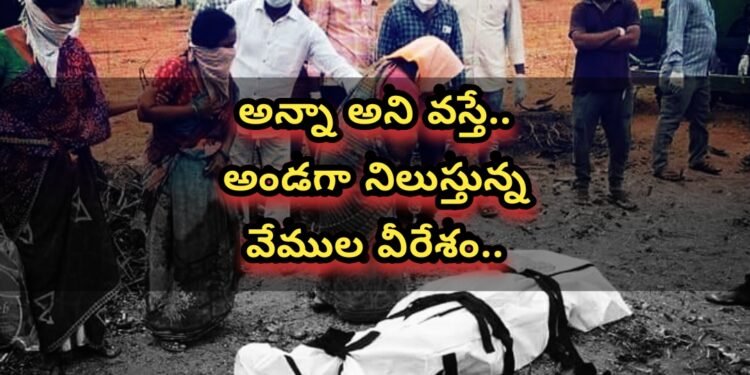 కరోనా రోగులకు అండగా నిలుస్తున్న వేముల వీరేశం…