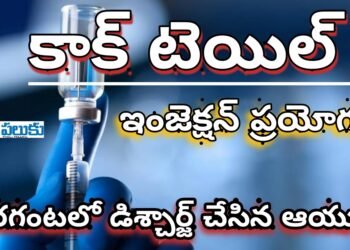 కాక్ టెయిల్ ఇంజెక్షన్ ప్రయోగం.. అరగంటలో డిశ్చార్జ్ చేసిన ఆయుష్ వైద్యులు..