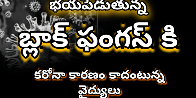 భయపెడుతున్న బ్లాక్ ఫంగస్ కి కరోనా కారణం కాదంటున్న వైద్యులు..