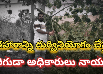 హరితహారాన్ని దుర్వినియోగం చేస్తున్న చౌదరిగుడా గ్రామ పంచాయతీ అధికారులు నాయకులు..