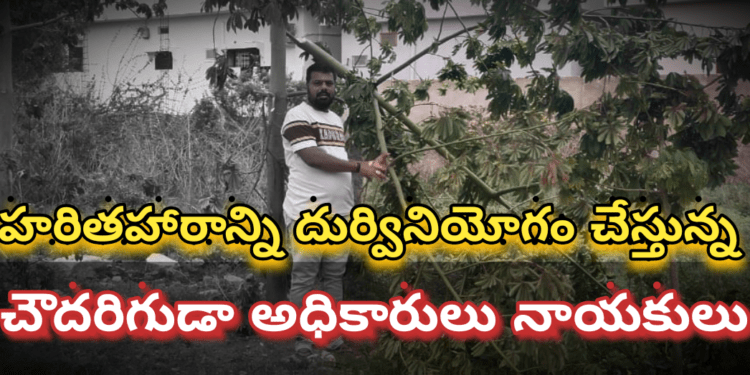 హరితహారాన్ని దుర్వినియోగం చేస్తున్న చౌదరిగుడా గ్రామ పంచాయతీ అధికారులు నాయకులు..