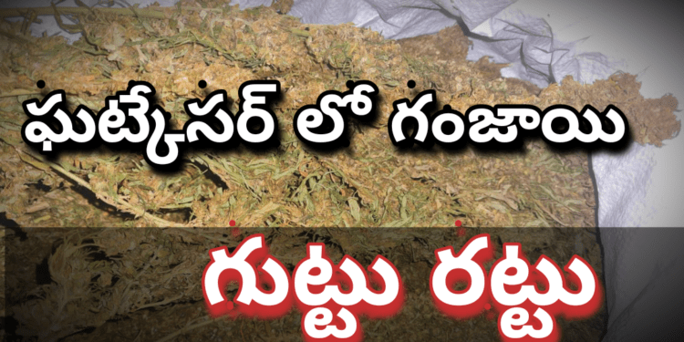 ఘట్కేసర్ లో గంజాయి గుట్టు రట్టు..
