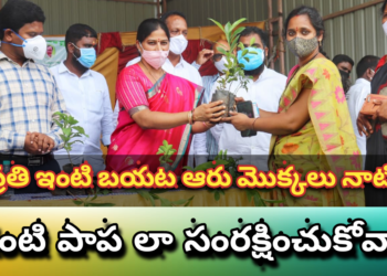 ప్రతి ఇంటి బయట ఆరు మొక్కలు నాటి చంటి పాప లా సంరక్షించుకోవాలి