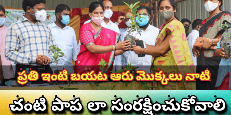 ప్రతి ఇంటి బయట ఆరు మొక్కలు నాటి చంటి పాప లా సంరక్షించుకోవాలి