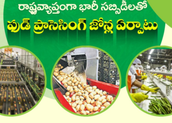 రాష్ట్రవ్యాప్తంగా భారీ సబ్సిడీలతో ఫుడ్ ప్రాసెసింగ్ జోన్ల ఏర్పాటు