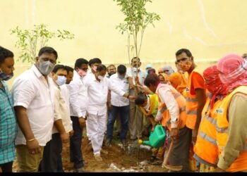 హరితహారంలో బాగంగా వెయ్యి మొక్కలను నాటిన కార్పొరేటర్ పన్నాల దేవేందర్ రెడ్డి