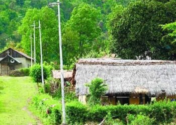 మా ప్రతీ ఊరు పచ్చదనంతో కళకళలాడుతోంది