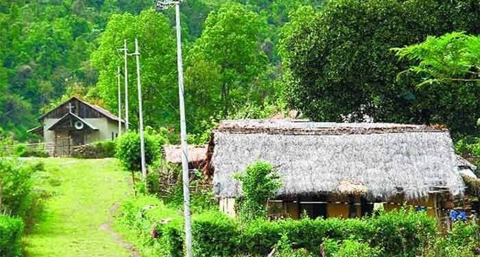 మా ప్రతీ ఊరు పచ్చదనంతో కళకళలాడుతోంది