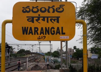 హెల్త్ సిటీగా వరంగల్