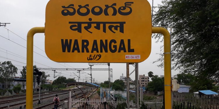 హెల్త్ సిటీగా వరంగల్