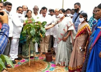 సురెడ్డి ఇటిక్యాల్ లో మొక్కలు నాటిన ఎమ్మెల్యే క్రాంతి కిరణ్