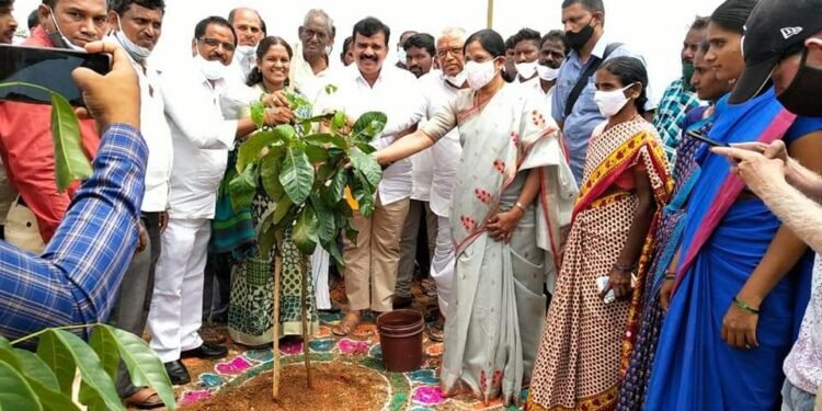 సురెడ్డి ఇటిక్యాల్ లో మొక్కలు నాటిన ఎమ్మెల్యే క్రాంతి కిరణ్