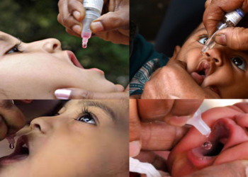 pulse polio on 27th feb